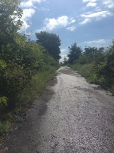 The road leading to Split Rock Quarry.